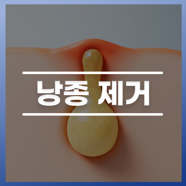 KakaoTalk_20260612_173248340_01.jpg